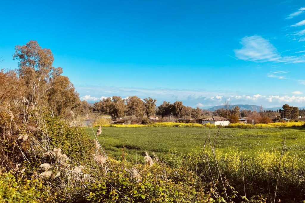 The Andalusian countryside around Finca W, near Coin