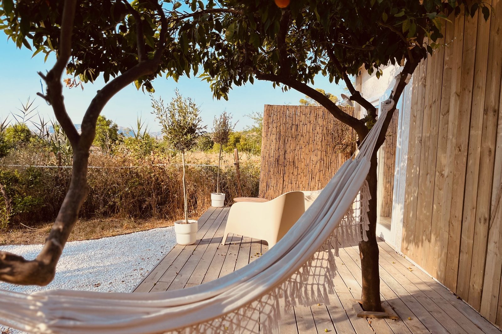 A hammock strung between orange trees on the deck