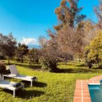 The pool and lawn at Finca W in the afternoon sun