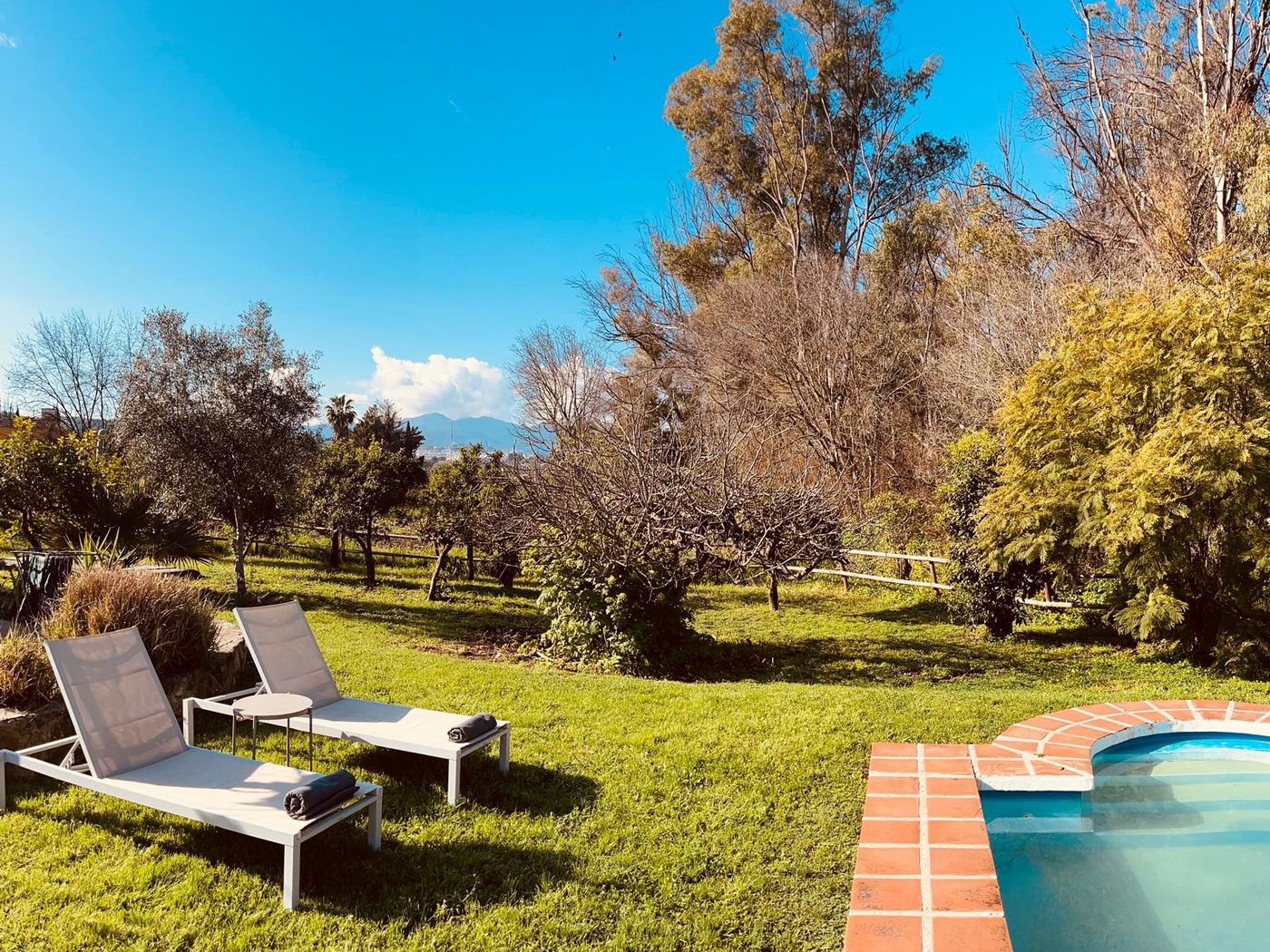 The pool and lawn at Finca W in the afternoon sun