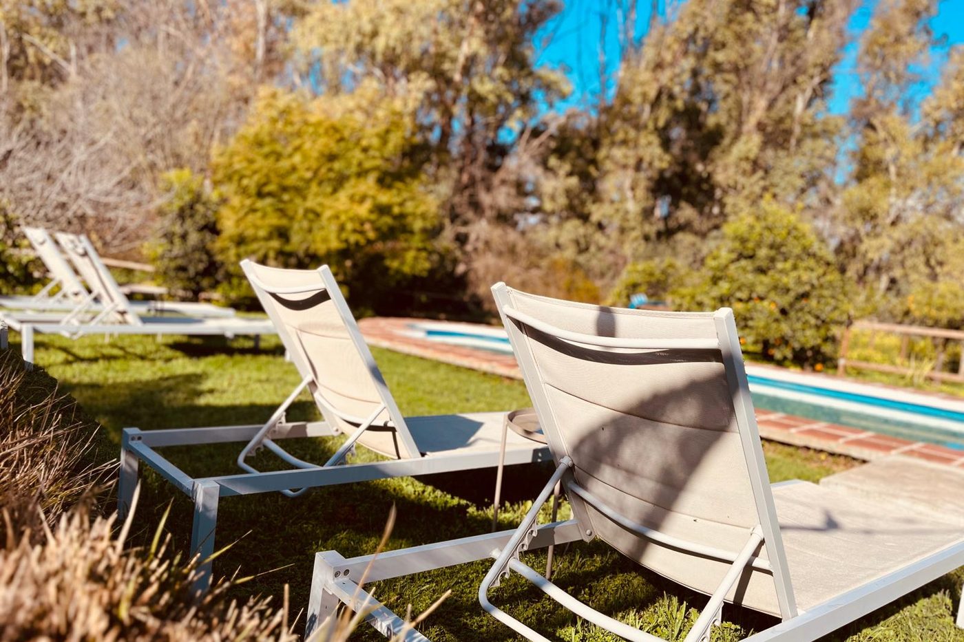 Sun loungers beside the pool at Finca W