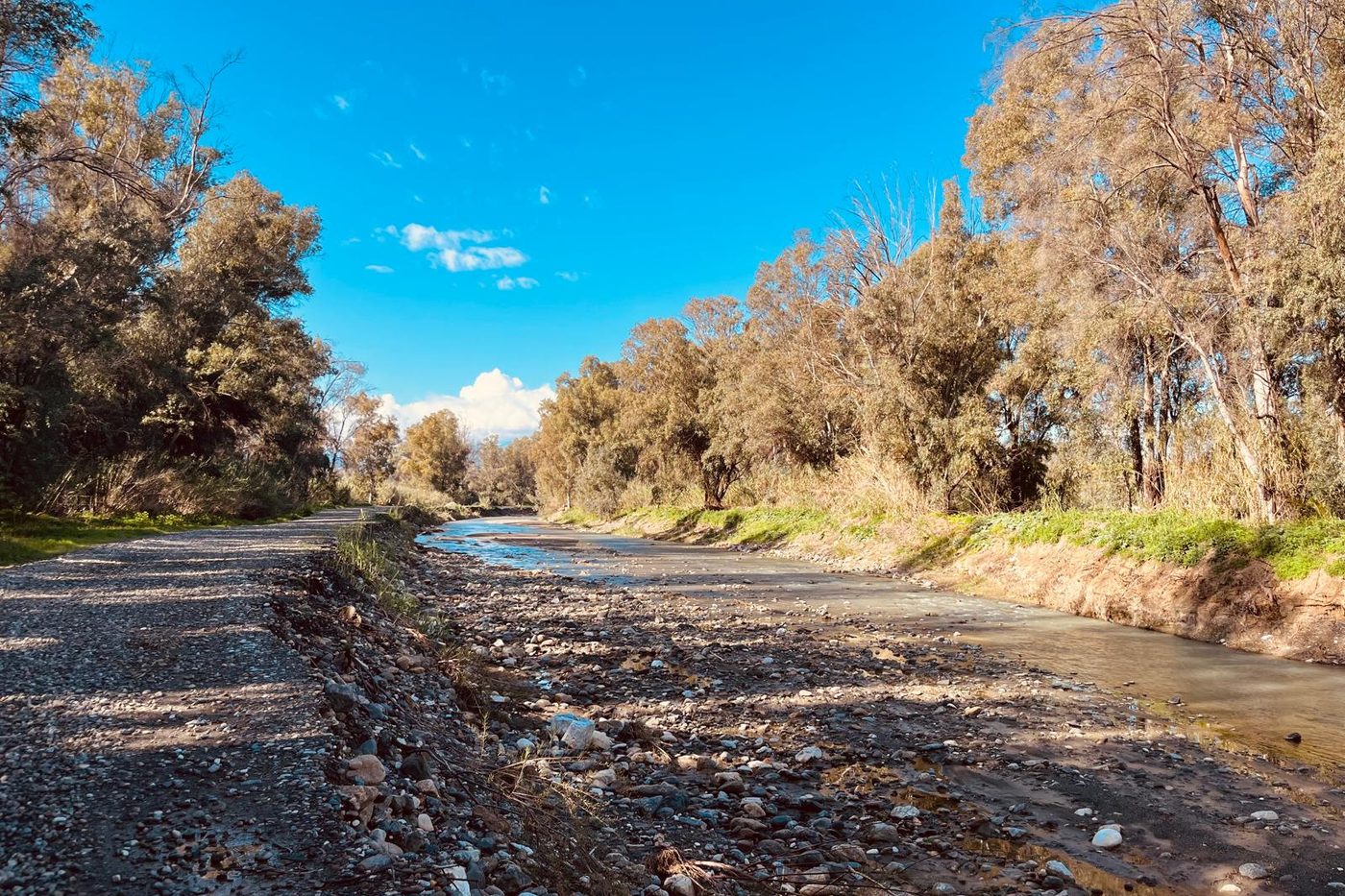 The riverbed close to Finca W
